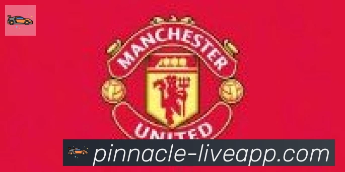 平博pinnacle体育合作伙伴